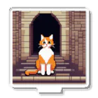 masaのトンネルで遊んでいる猫 Acrylic Stand