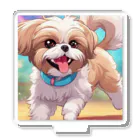 happiness_shopの踊るかわいいシーズー犬 Acrylic Stand