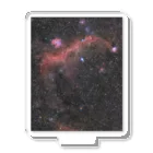 S204_Nanaのカモメ星雲 アクリルスタンド