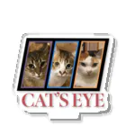 L-SYSTEMのCAT'S EYE アクリルスタンド