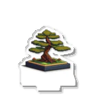 ドットcomのBonsai Acrylic Stand