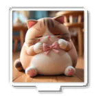 wtr3045のまるねこ15 アクリルスタンド