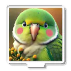 ぷっくりショップのオカメインコです アクリルスタンド