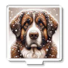 Ama'sの雪の中しかめっ面の犬さん アクリルスタンド