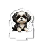 Shih Tzu Fanのシーズー（黒／白） アクリルスタンド