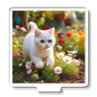 hiroaki75の白猫と花、間違いない アクリルスタンド