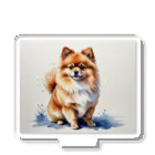 Animal Illustration shopのポメラニアン　Pomeranian　水彩画風 Acrylic Stand