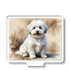 Animal Illustration shopのコトン・ド・テュレアール　Coton de Tulear　水彩画風 アクリルスタンド