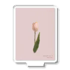 rilybiiの*Cherry Blossom ,Peach ,Tulip . Acrylic Stand