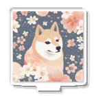 Grazing Wombatの日本画風、柴犬と桜２-Japanese-style painting of a Shiba Inu with cherry blossoms 2 Acrylic Stand