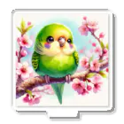 ぷっくりショップのオカメインコのひととき アクリルスタンド