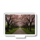 okiraku202の桜並木 アクリルスタンド