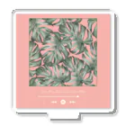 Lutrinaeのモンステラ / Monstera × Music Player Pink【四角】 アクリルスタンド Acrylic Stand