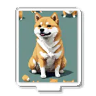 command jj1のピクセル柴犬 アクリルスタンド