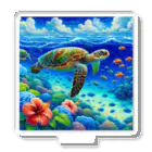 日本の風景 COOL JAPANの日本の風景:沖縄渡嘉志久ビーチの泳ぐ海がめ、Japanese scenery: Sea turtle swimming at Tokashiki Beach, Okinawa Acrylic Stand