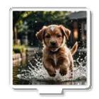 mamekichi445の水遊び楽しむ子犬くん Acrylic Stand