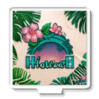 kaya-☆の🌟Hawaii🌟🌠👏🌠 Acrylic Stand