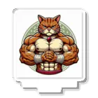 MUSCLE CAT 🐈🐈‍⬛のマッスルキャット　キジ虎 アクリルスタンド