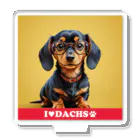 Design.DachsのI LOVE DACHS_02 Acrylic Stand