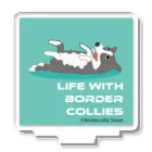 Bordercollie StreetのYM2405-1 Acrylic Stand