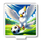 白いインコ屋のインコちゃんとサッカー① アクリルスタンド