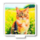 猫好きの谷の猫の水彩画/花畑のマンクスねこのイラスト/キジトラネコ Acrylic Stand