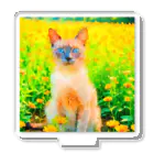 猫好きの谷の猫の水彩画/花畑のトンキニーズねこのイラスト/ポイントネコ アクリルスタンド