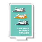 Bordercollie Streetの3bc-1 Acrylic Stand