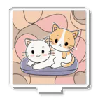 癒しの部屋🐾໒꒱の仲良しニャンコ🐈🐾 Acrylic Stand