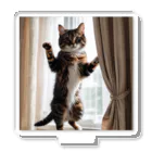 DQ9 TENSIのカーテンと遊ぶ愛らしい猫ちゃん アクリルスタンド