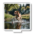 kokin0の水辺を走る犬 dog runnning on the water Acrylic Stand