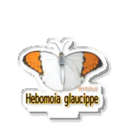 アニマル四字熟語の魅惑のツマベニチョウ　Hebomoia glaucippe Acrylic Stand