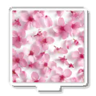 オンラインショップイエローリーフのピンクの花　桜　鮮やか Acrylic Stand