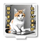 nanamiの三毛猫忙しいアピール中シリーズ アクリルスタンド