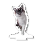 みけねこ情報局のねこのミュシャ Acrylic Stand