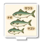 魚屋チーフの出世祝　出世魚ユニークシリーズ Acrylic Stand