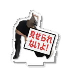 神宮司の見せられないよ！４ Acrylic Stand