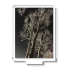 空屋　sorayakusakaの202001121944000　夜の樹木 Acrylic Stand