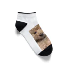 🐶ぷーちょこ公式ショップ🐶のだるちょこ小物グッズ Ankle Socks