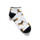 TJ558galleryのbeagle　ソックス Ankle Socks