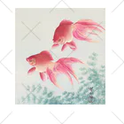 寿めでたや(ukiyoe)の日本画:小原古邨_金魚二匹 くるぶしソックス