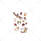 huroshikiのNUTS collection ナッツコレクション くるぶしソックス