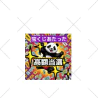 Lucky🍀のラッキーパンダ🐼 くるぶしソックス