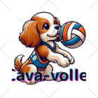 cava-sports　【キャバースポーツ】のcava-volley くるぶしソックス