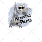 sari'sのArriving in Paris くるぶしソックス