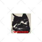 kk-welcomeの黒猫登場Ⅰ Ankle Socks