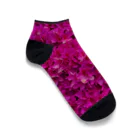 マリーゴールドのピンクの塊 Ankle Socks
