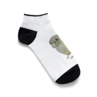 mariechan_koboの107 ウロコインコシナモン simple Ankle Socks