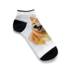 デジタルキャンバスの"シバワンダー" 柴犬愛好家Tシャツ Ankle Socks