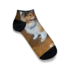 もふもふ犬ソア君SHOPの愛らしいモフモフ犬グッズ Ankle Socks